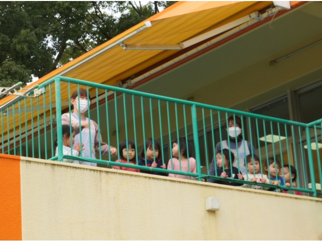 りす組のお友だち