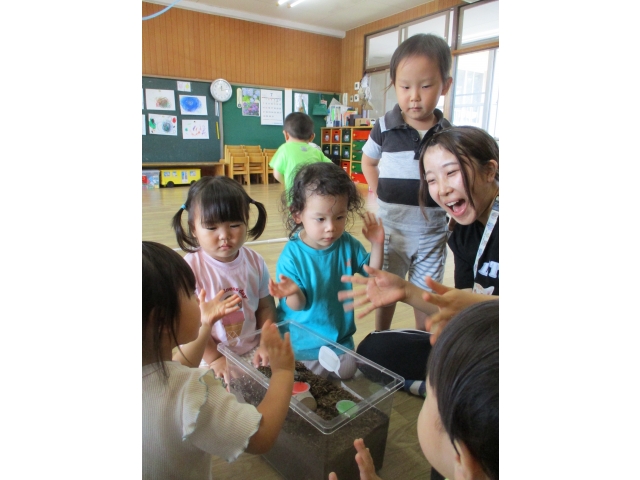 みんなでハッピーバースデーを歌ったよ！♪ハッピーバースデー　カブトちゃん♪