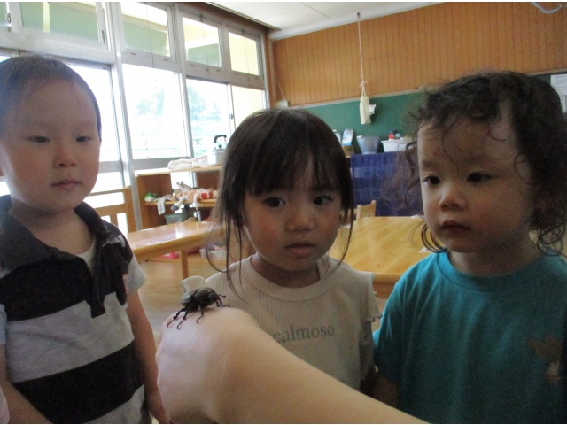 じー…。真剣に見つめます。