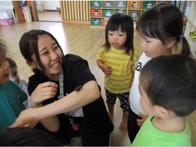 先生の腕の上をちょこちょこ歩きます。「のぼってるねぇ。」