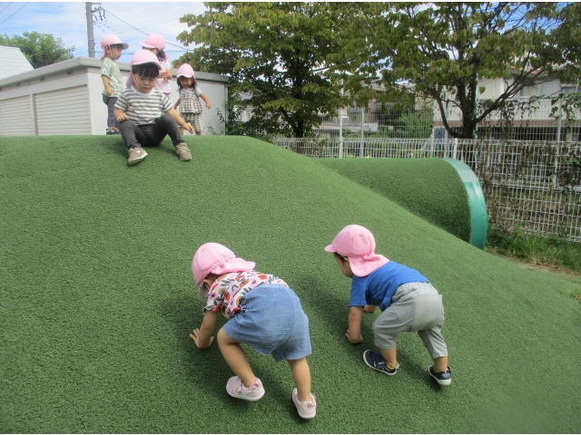 「よいしょ、よいしょ！」