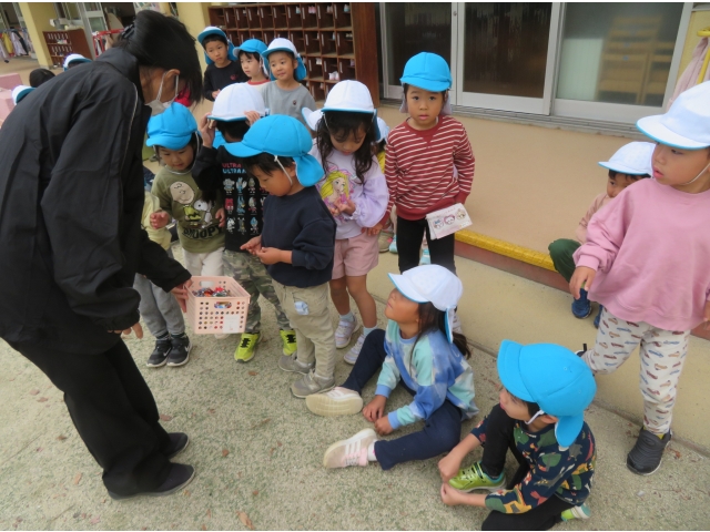 こんなにいっぱい見つけたんだね！