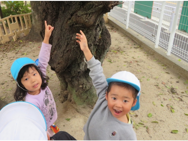 ここにもみ～つけた！