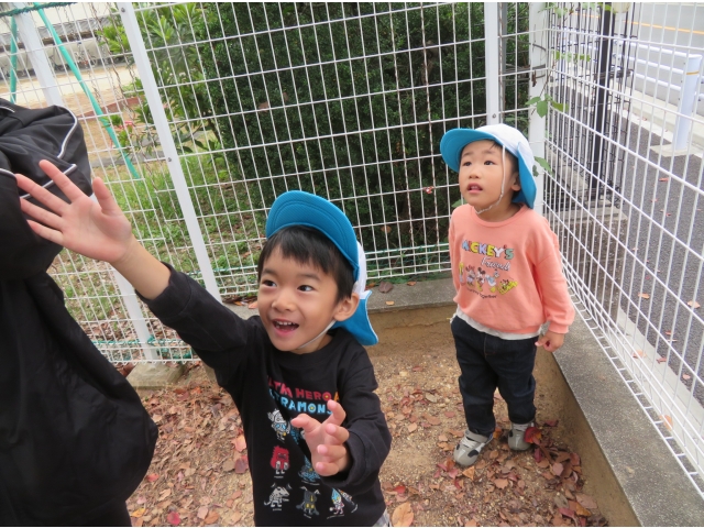 高い所だ！取って～！