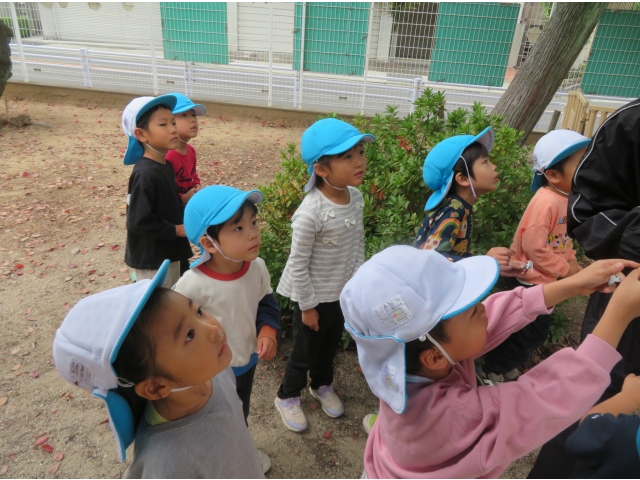 どこにあるの～？