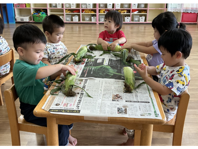 なんだこれ～？