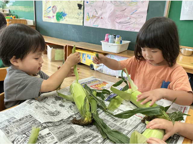 なかなかとうもろこし出てこないな…