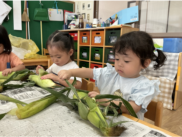 ちょっと難しいぞ