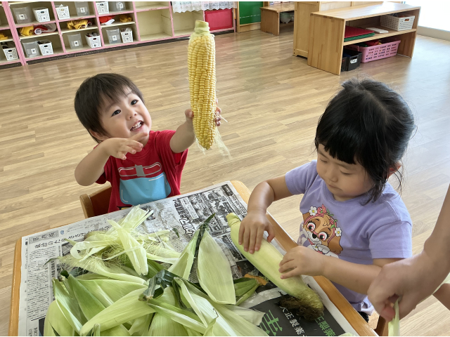 とうもろこしだ～🌟