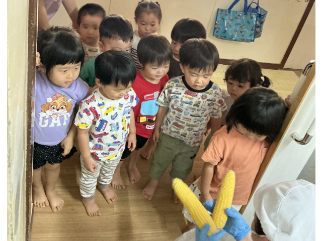 お願いします！！