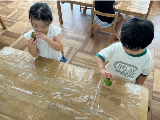 ちょっとへんなにおい、、、