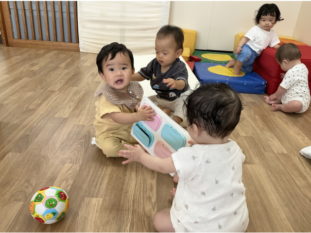 なんの動物がでてくるかな～？