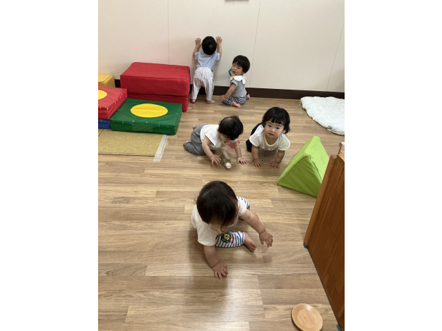 つかまり立ちやハイハイでお部屋の中を移動してます♪