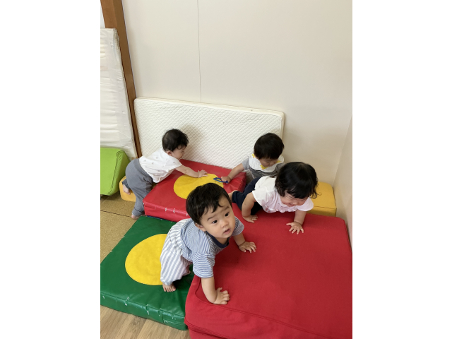 よいしょ！よいしょ！