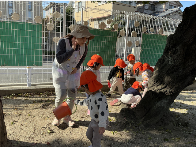 あれ、どんぐりの声が聞こえるぞ❓