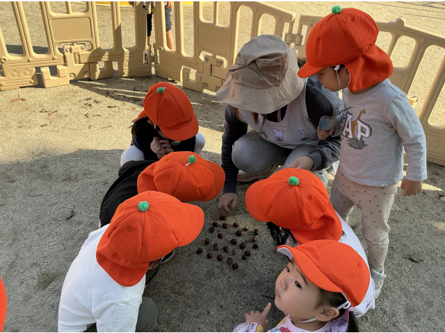 どんぐり全部見つけたかな…