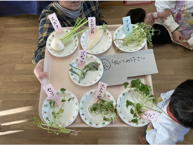 せり・なずな・ごぎょうはこべら・ほとけのざ・すずな・すずしろ・これぞ「春の七草」だよ