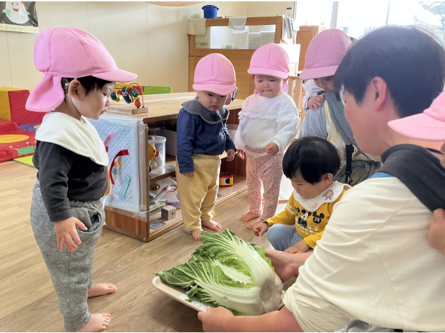 うわ！これは何？大きいね。白菜だよ。