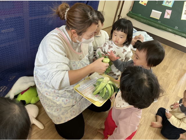 カリフラワーとブロッコリーこんなに違うんだね～