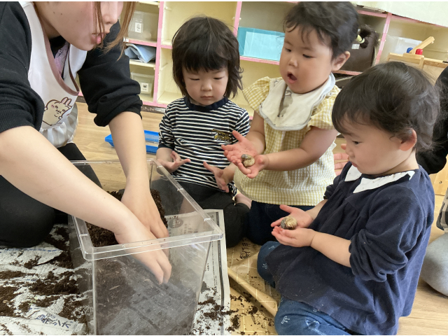 見つけたよ😊手に乗せれたよ！