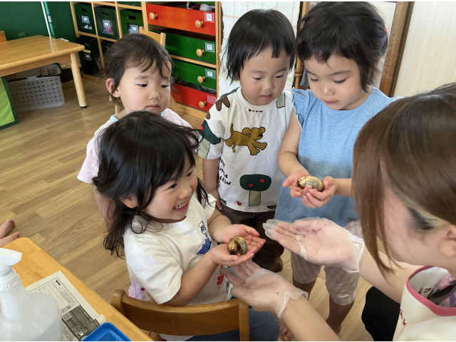 幼虫さん大きくなったね🎶
