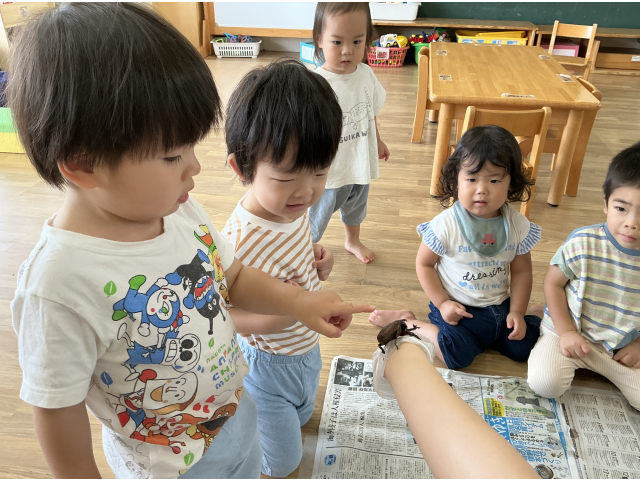 つんつん！