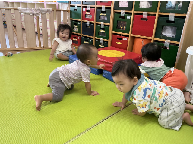 のぼってみよう