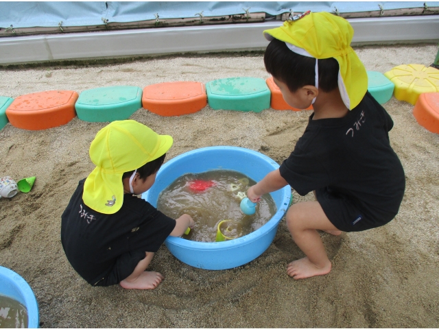 これも入れちゃお！