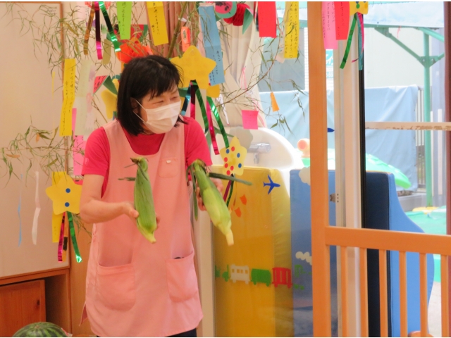 立派なとうもろこし