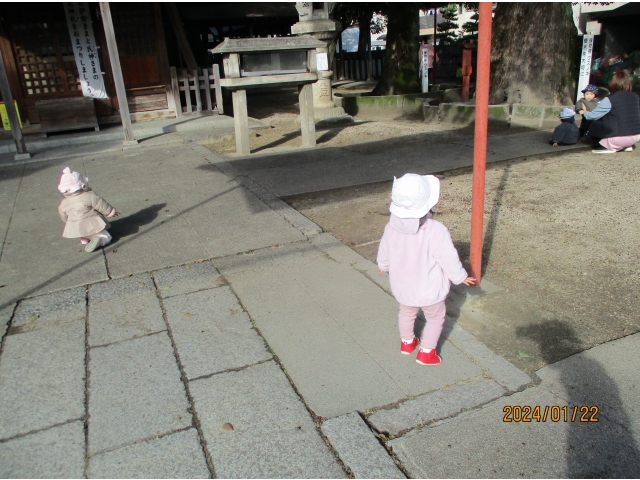 神社に来たよ！