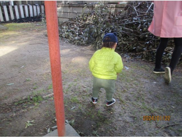 何があるかな？