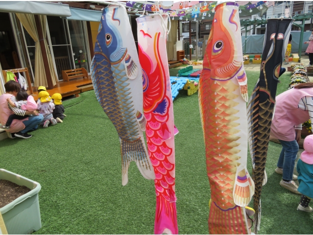 今年も元気に泳いでます！