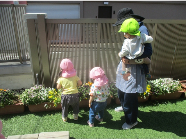 ♪「はちはちかくれんぼ」