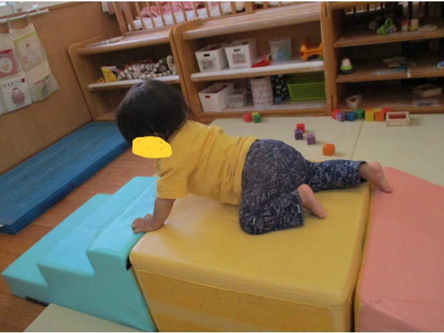 のぼれるよ～！