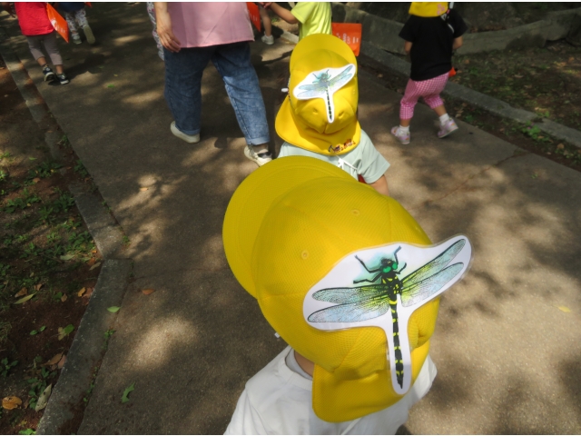 虫よけのとんぼを帽子につけたよ