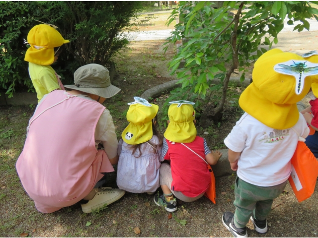 何か見つかるかな？