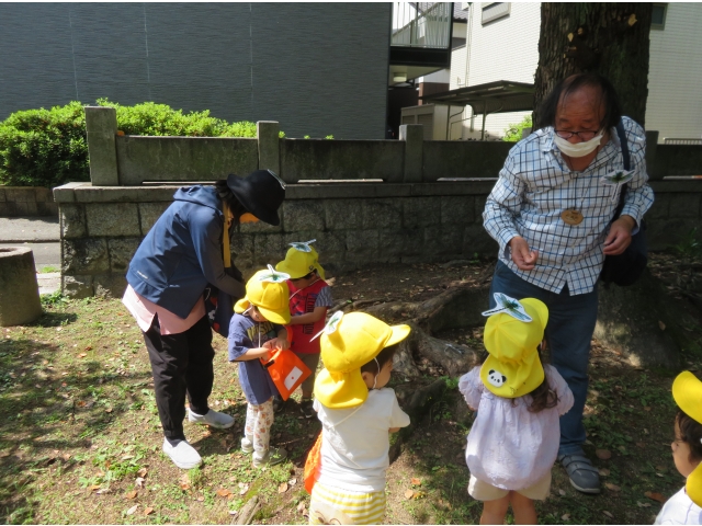 葉っぱの匂いを嗅いだよ