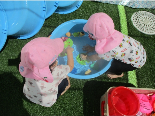 魚がぷかぷか…