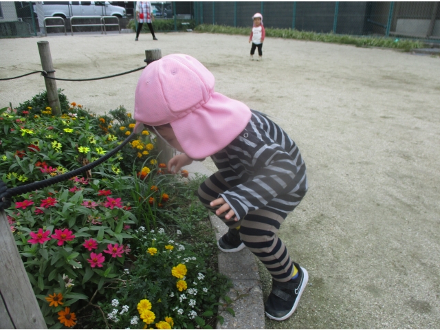 いい香りがする☆