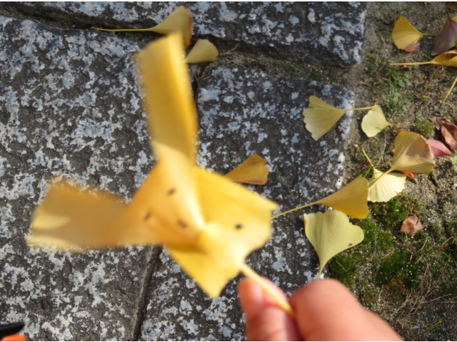 落ち葉がうさぎに変身！