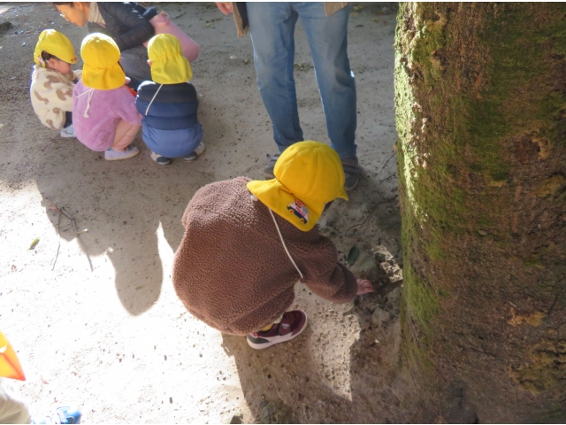 こっちにもどんぐりあった！