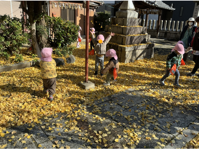 イチョウの葉っぱに大喜び