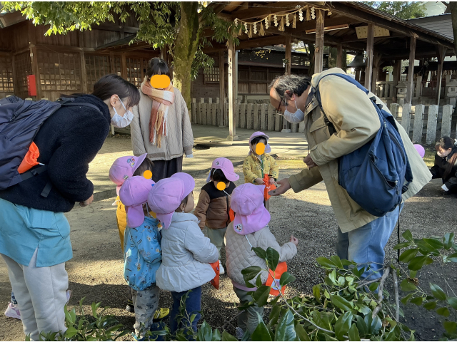 椿の花が咲くよ
