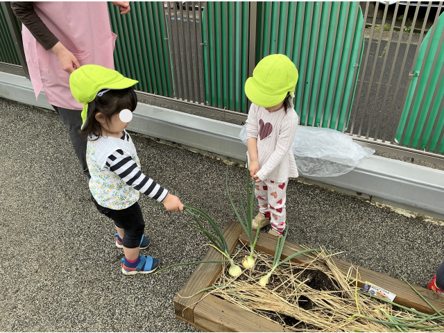 実際に一人ずつ取ってみる！