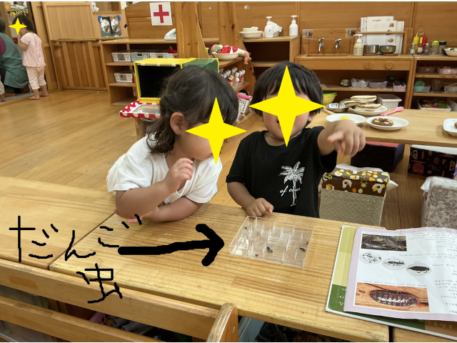 図鑑も開いて虫鑑賞