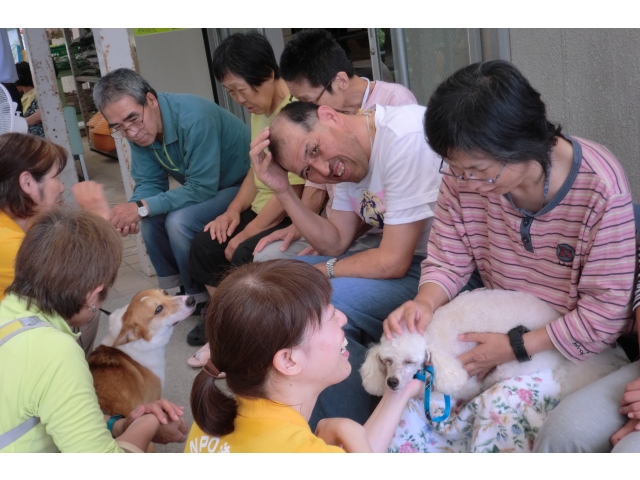 かわいいですね