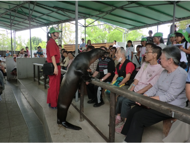 アウアウ～！マリンちゃんが来た！！
