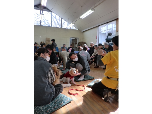 わんちゃん！！