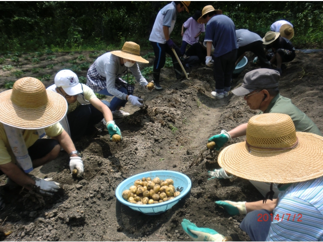 みんな一生懸命！