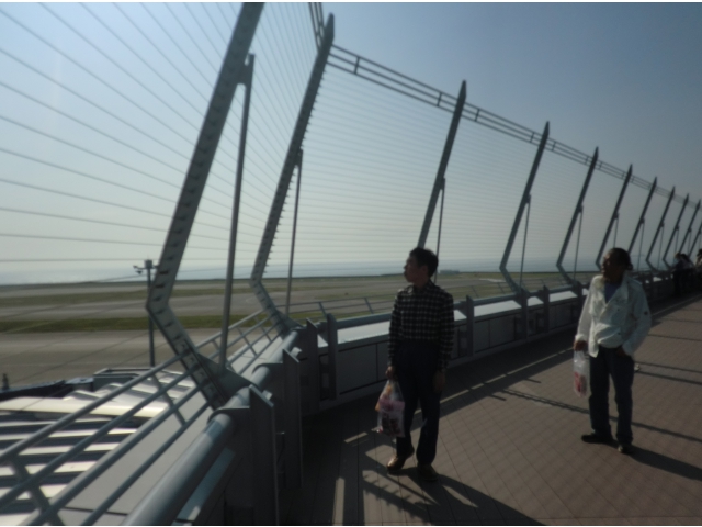 飛行場を眺める姿